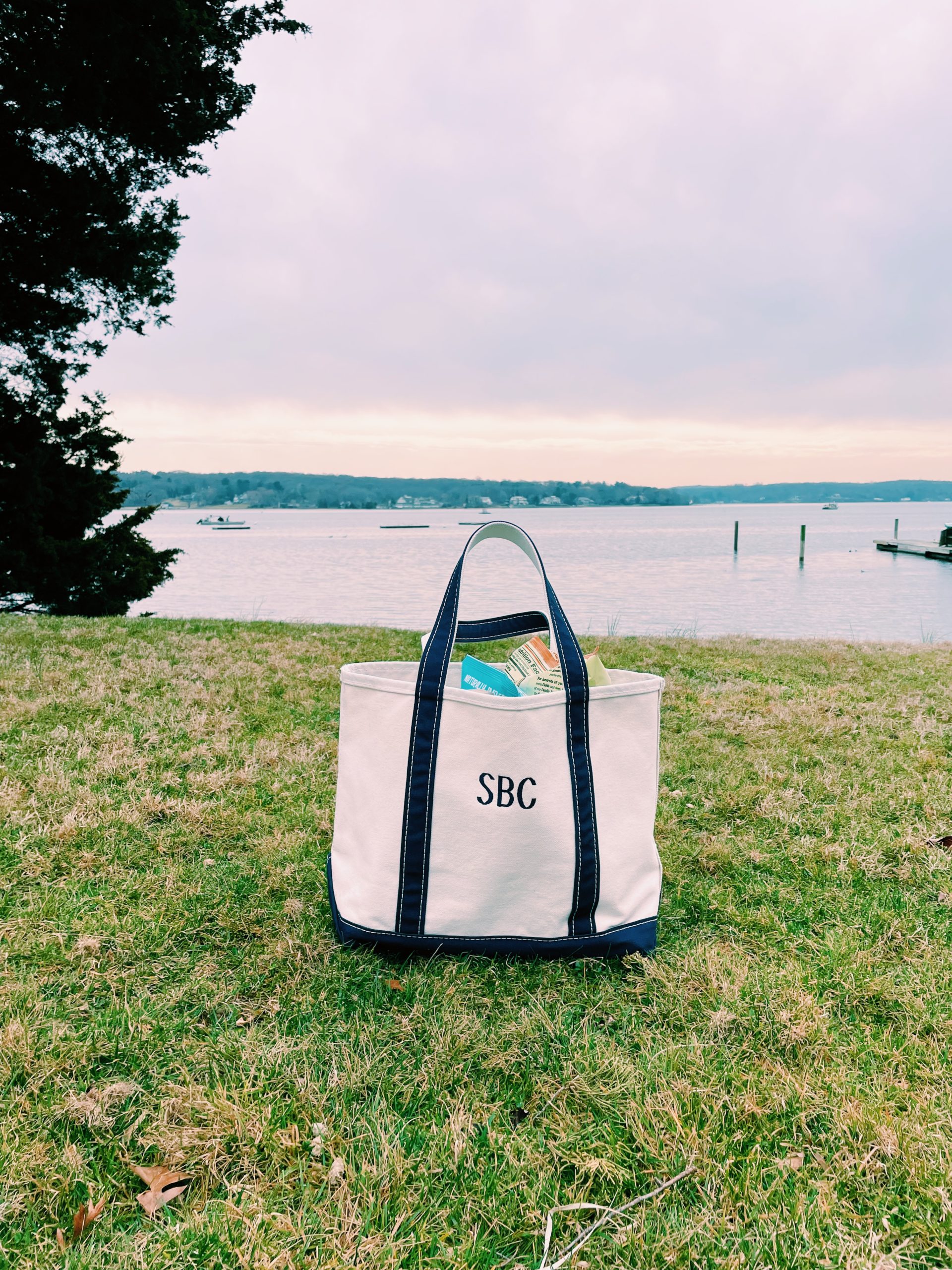 Which Boat & Tote Should You Buy?