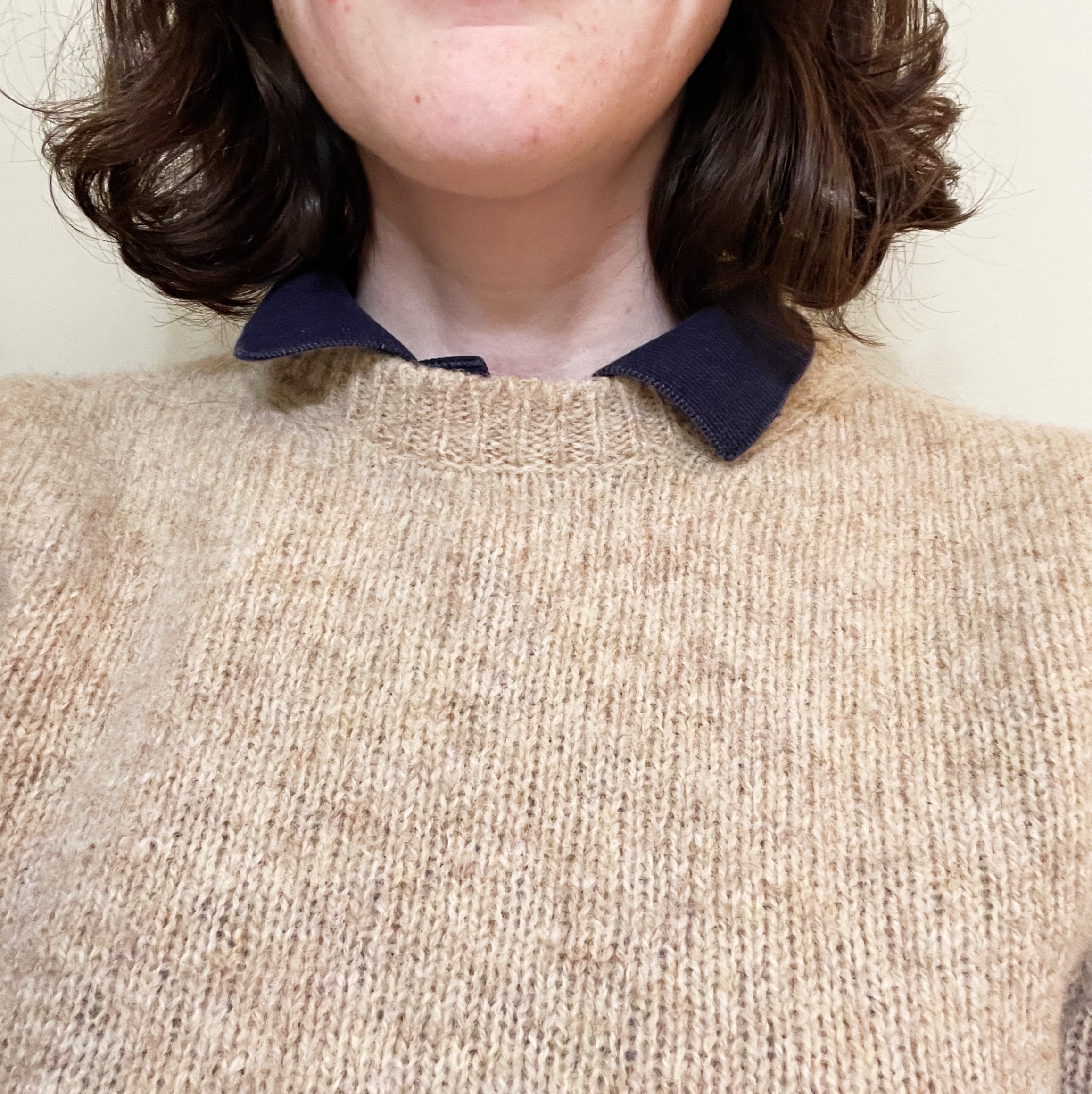 Minipost: Shetland Sweater